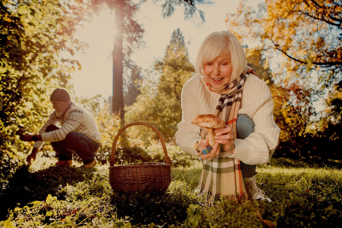 Reasons Why Boomers Are Embracing the Magic of Mushroom Supplements - Hippie Farms