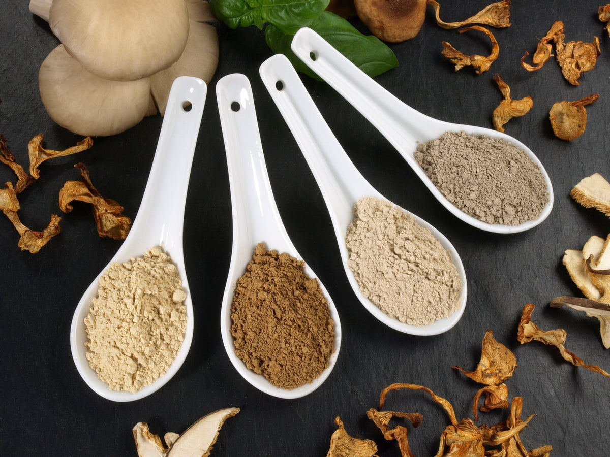 🌿 Natural Stress Relief: How Adaptogens Like Ashwagandha Help You Stay Calm - Hippie Farms