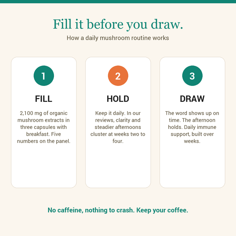 Fill, Hold, Draw: how a daily lion's mane and reishi mushroom supplement routine works