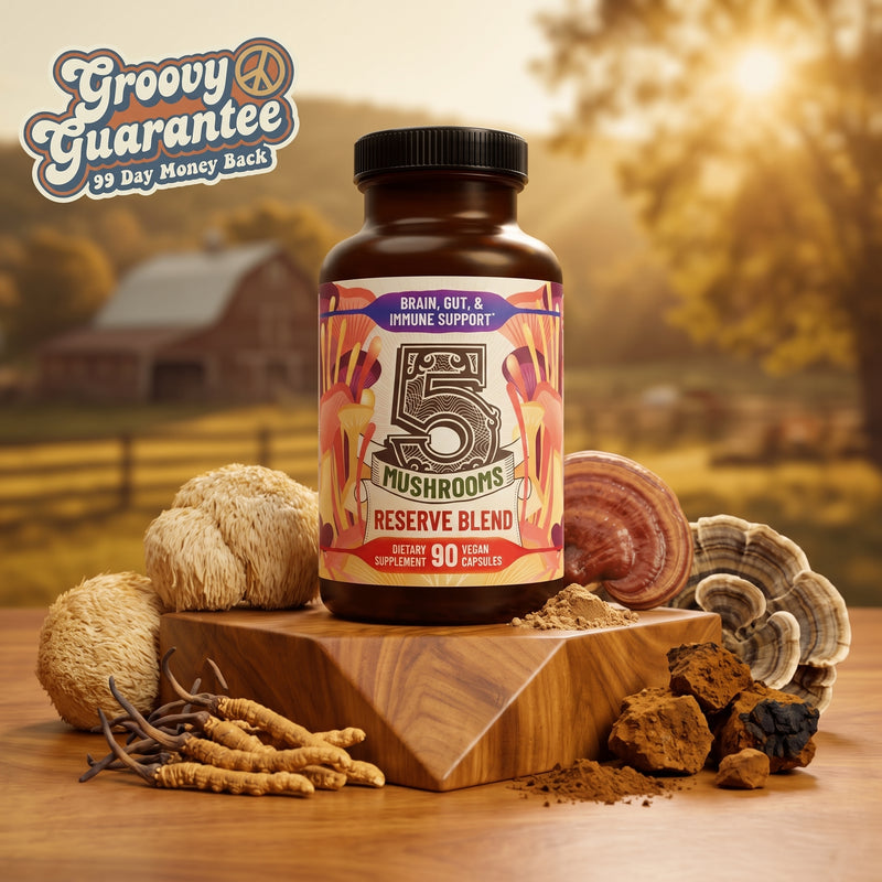 5 Mushrooms Reserve Blend bottle on a wooden block with lion's mane, reishi, turkey tail, cordyceps and chaga on a farm at golden hour, lion's mane and reishi mushroom supplement