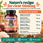 5 Mushrooms Reserve Blend: nature's recipe for clear thinking, five extracts and doses per serving