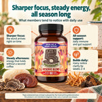 5 Mushrooms Reserve Blend: sharper focus, steady energy, all season long
