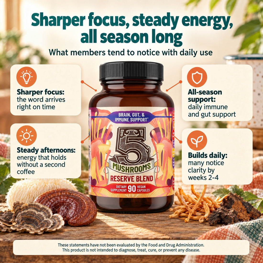 5 Mushrooms Reserve Blend: sharper focus, steady energy, all season long