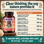 5 Mushrooms Reserve Blend: complete ingredients, serving amounts and daily use