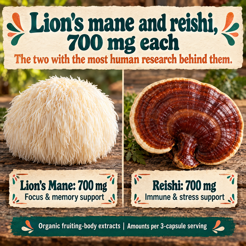 5 Mushrooms Reserve Blend: lion's mane and reishi, 700 mg each