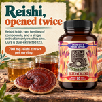 5 Mushrooms Reserve Blend: reishi dual-extracted 12:1