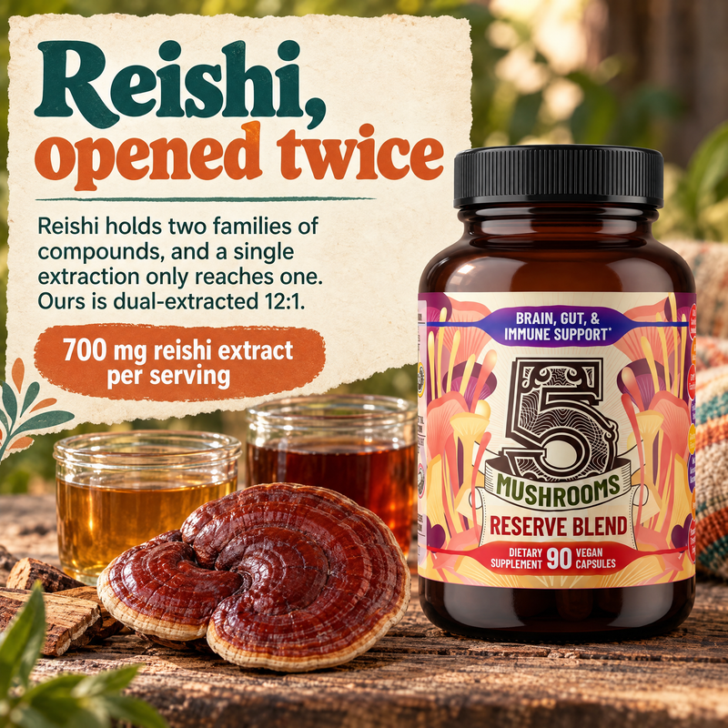 5 Mushrooms Reserve Blend: reishi dual-extracted 12:1