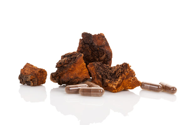 Chaga: The Antioxidant Powerhouse