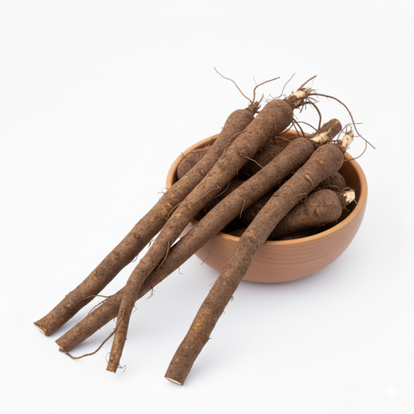ORGANIC BURDOCK ROOT