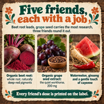 Beet Root & Friends ingredients: beet root, grape seed extract, watermelon, American ginseng and cayenne