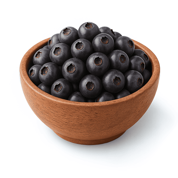 ORGANIC BILBERRY