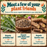 Liver Cleanse & Reset: artichoke leaf, milk thistle seed extract and licorice root