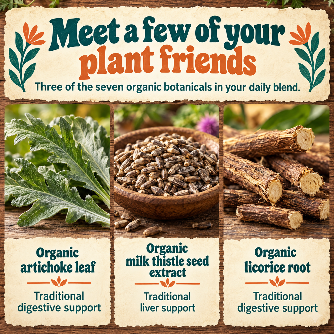 Liver Cleanse & Reset: artichoke leaf, milk thistle seed extract and licorice root