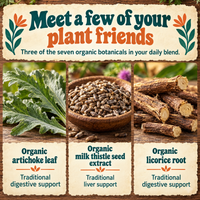 Liver Cleanse & Reset: artichoke leaf, milk thistle seed extract and licorice root