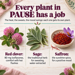 PAUSE ingredients: red clover, sage and saffron