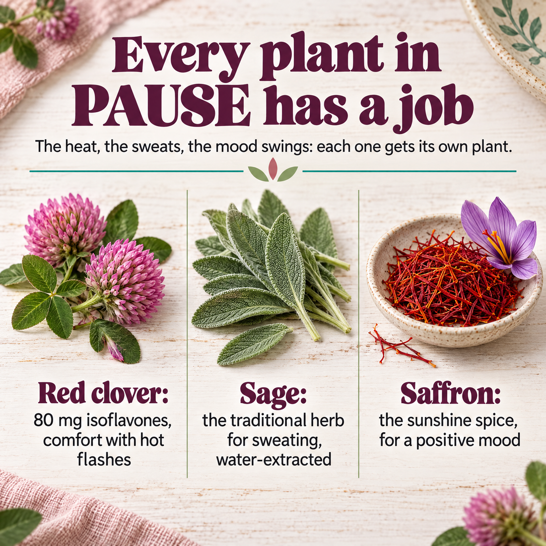 PAUSE ingredients: red clover, sage and saffron