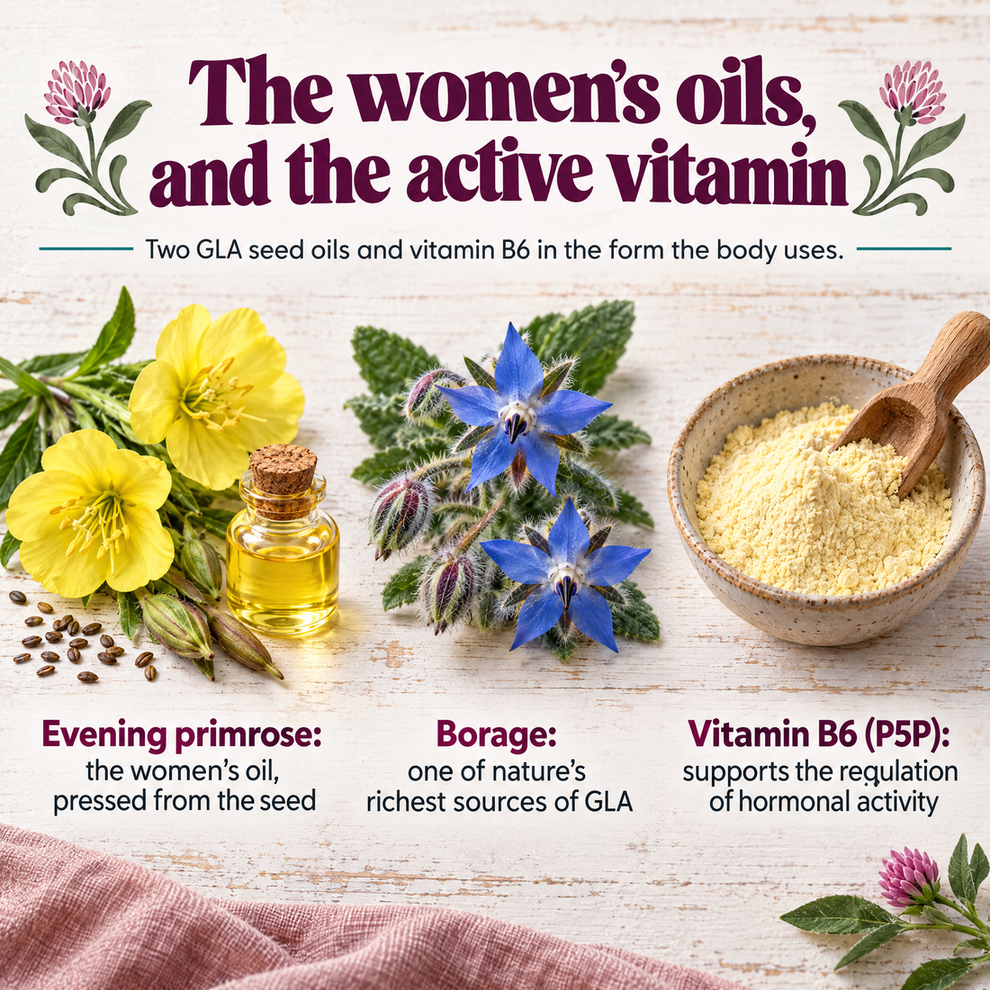 PAUSE ingredients: evening primrose, borage and vitamin B6