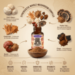 Premium Immunity, Gut Health, and Brain Cognition Formula - 5 Mushrooms Reserve Blend - Hippie Farms