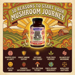 Premium Immunity, Gut Health, and Brain Cognition Formula - 5 Mushrooms Reserve Blend - Hippie Farms