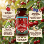 Premium Tart Cherry Blend - Inflammation, Uric Acid, Sleep, Muscle Recovery - Hippie Farms