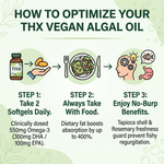 Vegan Algae Oil DHA EPA supplement infographic showing steps to optimize THX vegan omega 3 supplement use