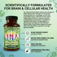 Vegan algae oil bottle with callouts for DHA EPA benefits – vegan omega 3 supplement