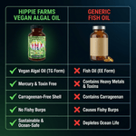 Comparison chart of Hippie Farms Vegan Algal Oil vs Generic Fish Oil highlighting benefits of vegan omega 3 supplement like mercury-free, carrageenan-free, no fishy burps