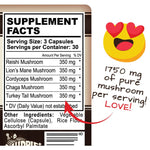 5 Mushrooms Reserve Blend - US Grown Organic Mushroom Supplement - 90 Count - Hippie Farms