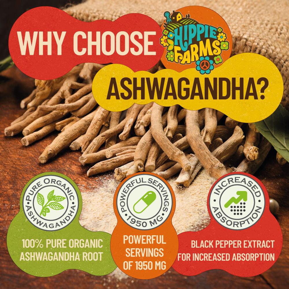 Organic Ashwagandha with Black Pepper - Bass Player Blend with 1950 mg per serving - Hippie Farms